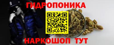 стафф Берёзовский