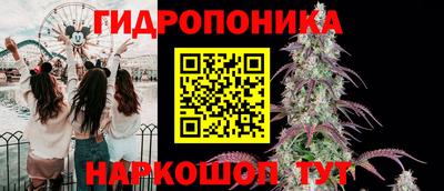 твердый Бийск